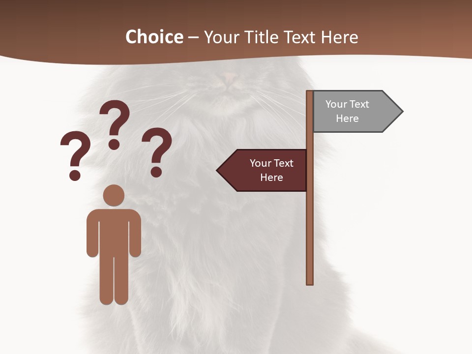 Furry Soft Cat PowerPoint Template