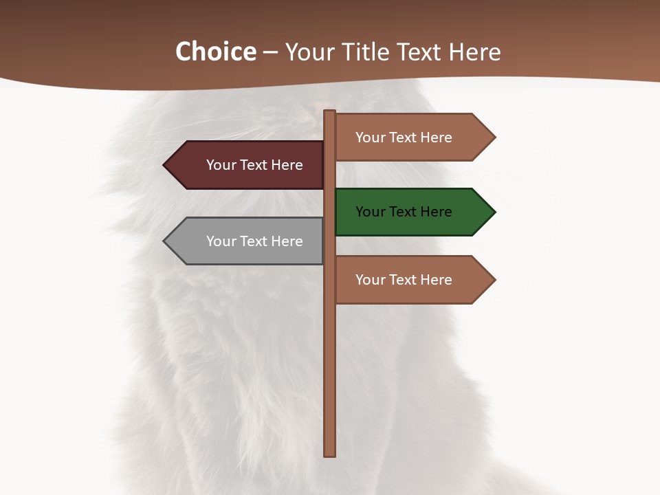 Furry Soft Cat PowerPoint Template