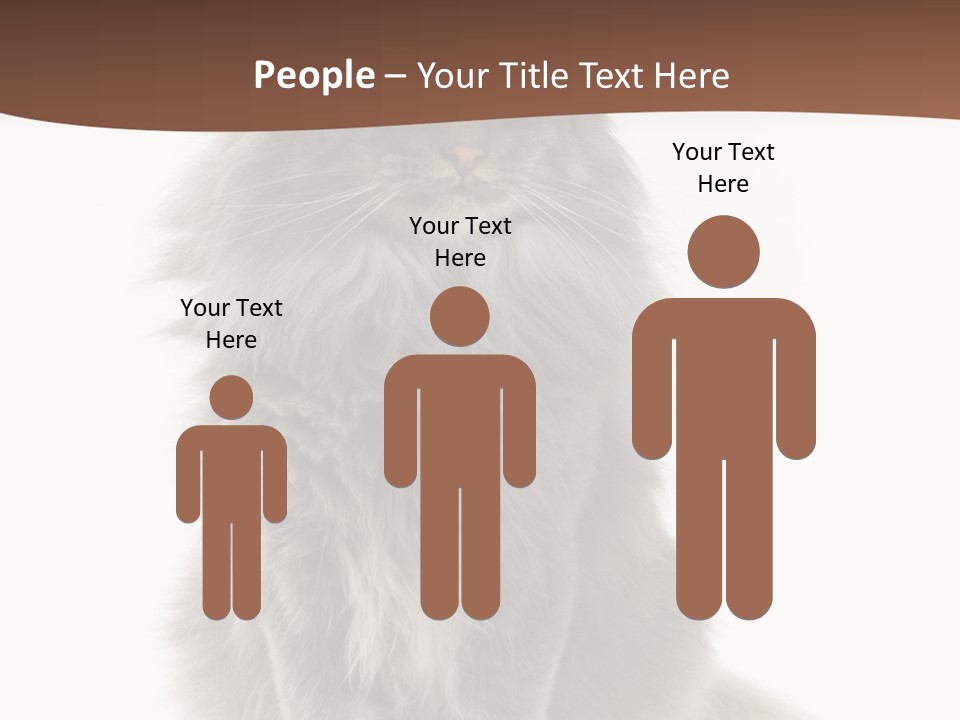 Furry Soft Cat PowerPoint Template