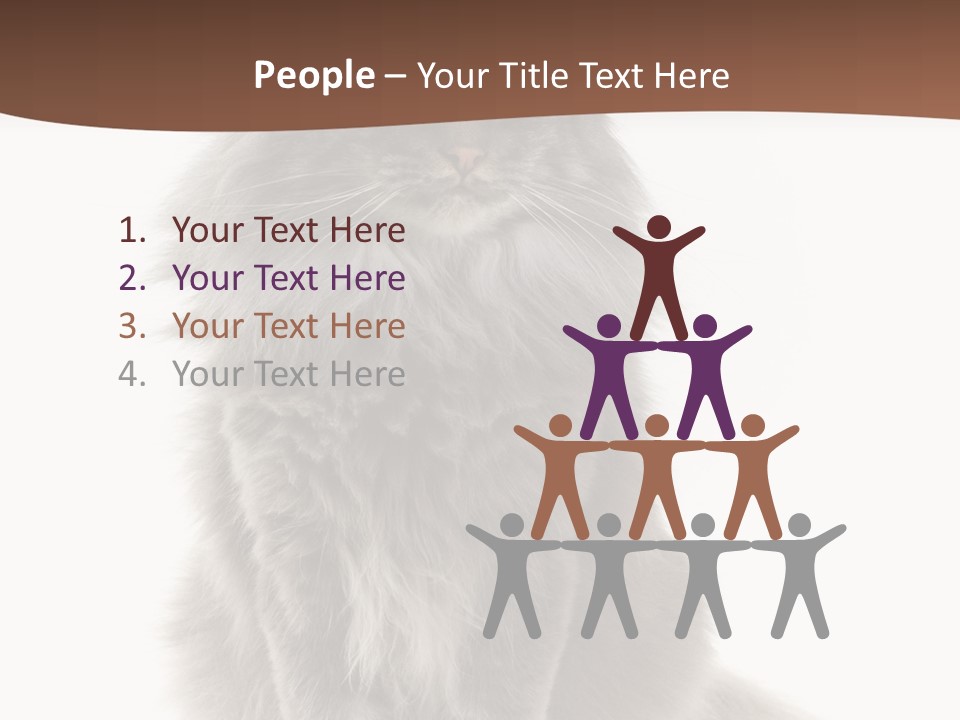 Furry Soft Cat PowerPoint Template