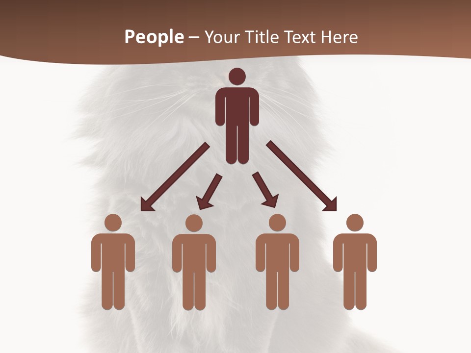 Furry Soft Cat PowerPoint Template