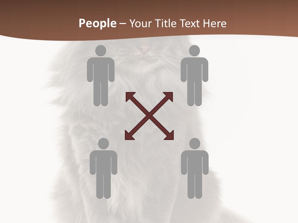 Furry Soft Cat PowerPoint Template