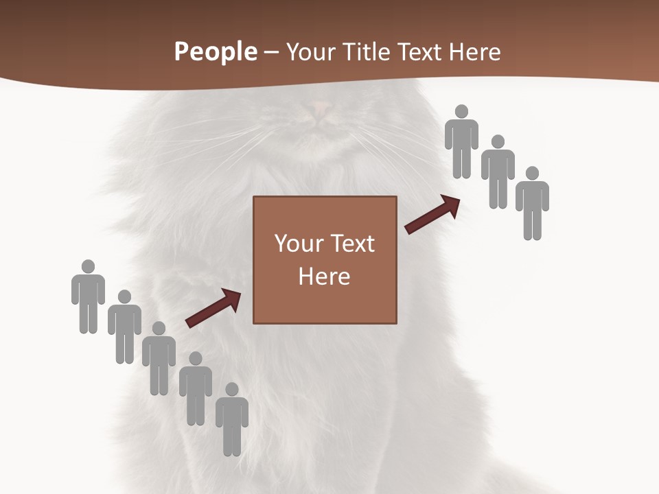 Furry Soft Cat PowerPoint Template
