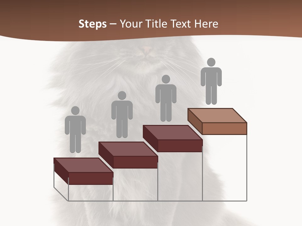 Furry Soft Cat PowerPoint Template