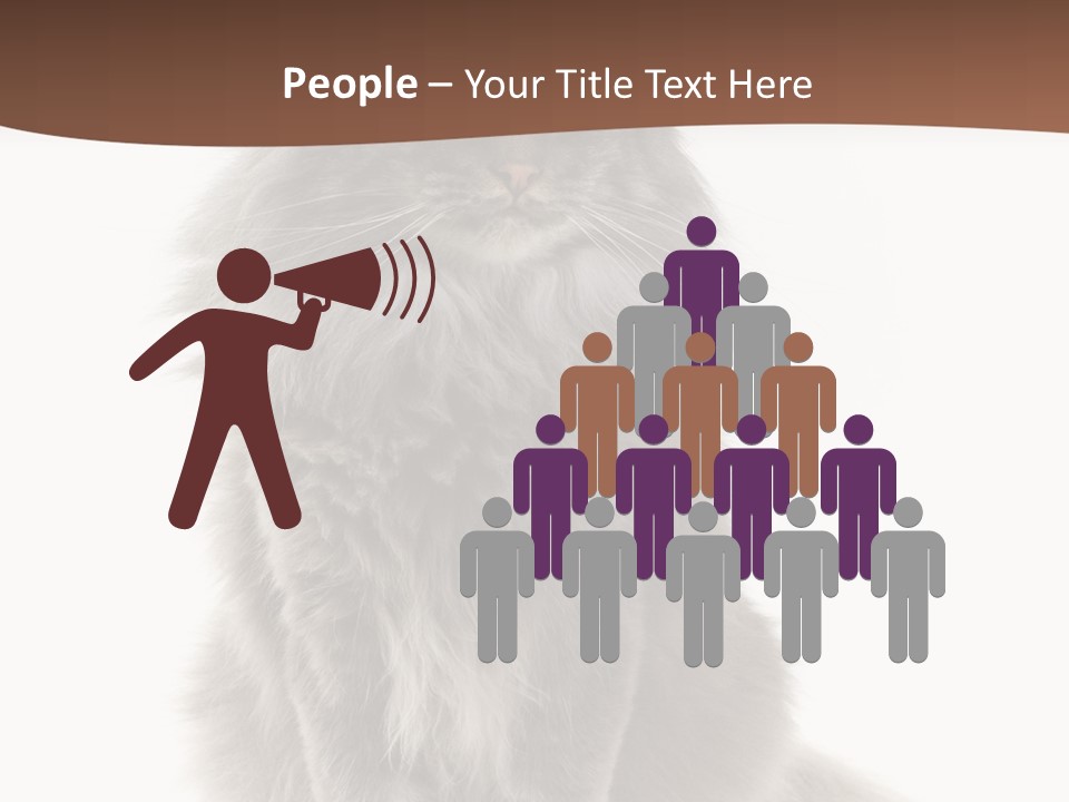 Furry Soft Cat PowerPoint Template