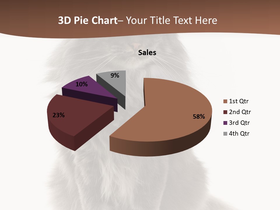 Furry Soft Cat PowerPoint Template
