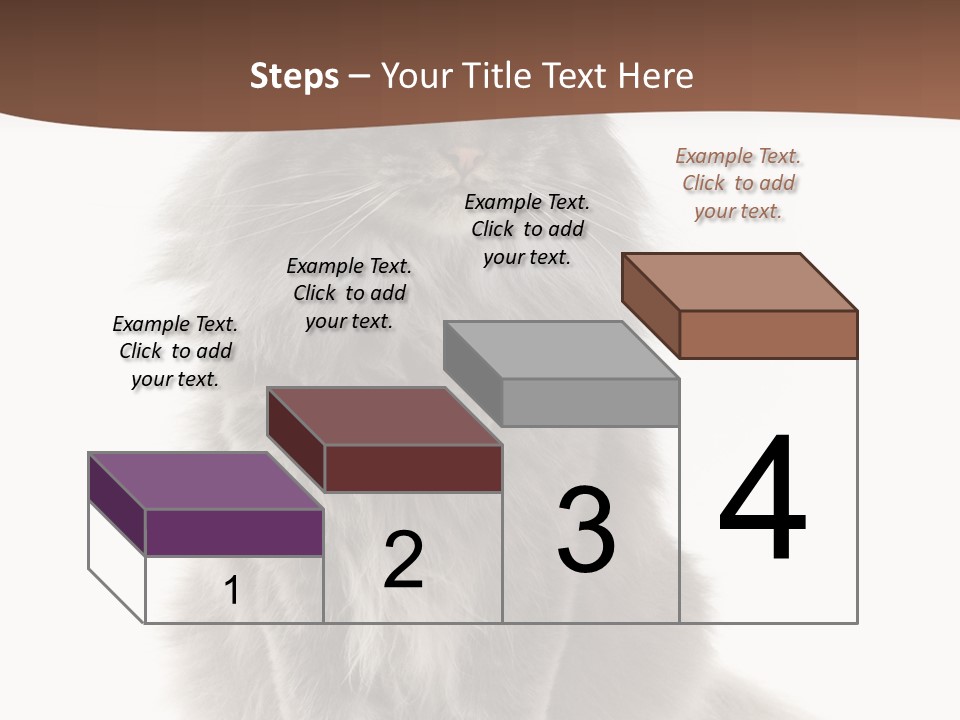 Furry Soft Cat PowerPoint Template