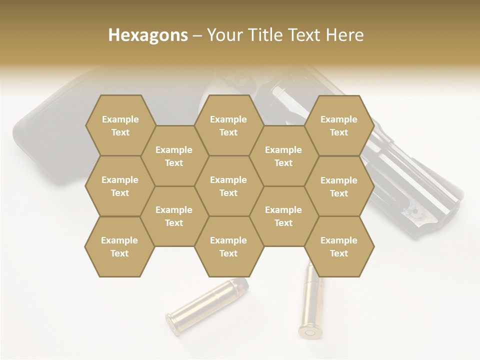 Ammunition Gun Control Home Protection PowerPoint Template