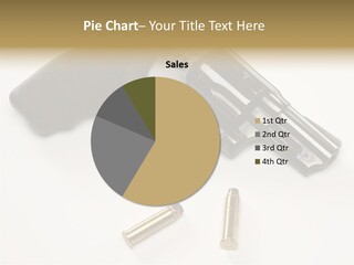 Ammunition Gun Control Home Protection PowerPoint Template