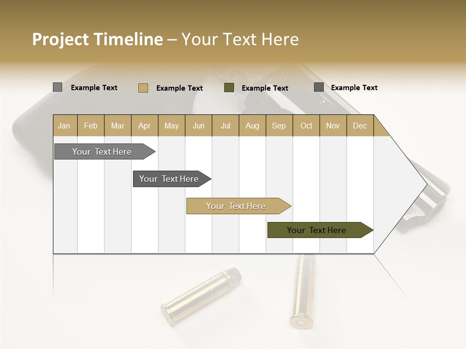 Ammunition Gun Control Home Protection PowerPoint Template