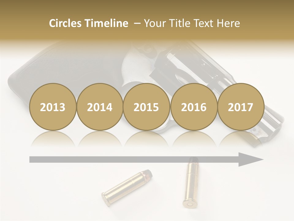 Ammunition Gun Control Home Protection PowerPoint Template