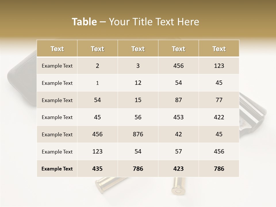 Ammunition Gun Control Home Protection PowerPoint Template