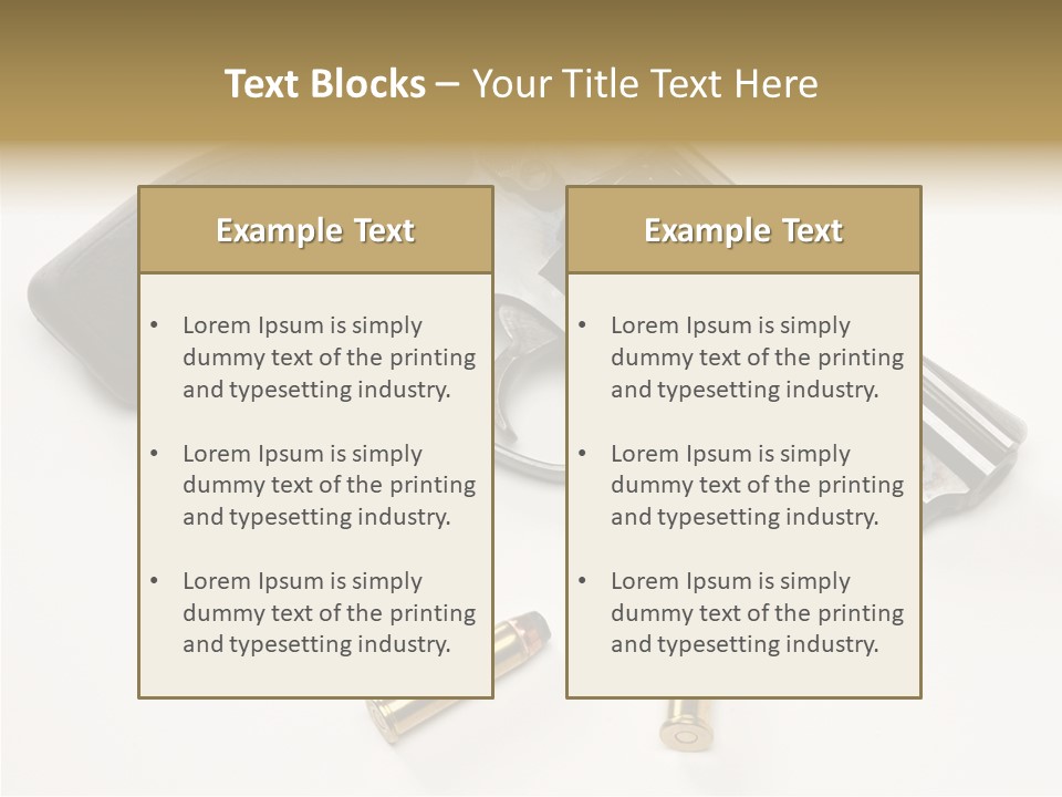 Ammunition Gun Control Home Protection PowerPoint Template