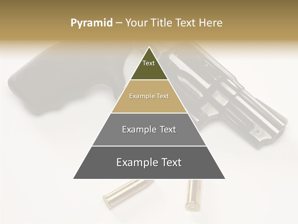 Ammunition Gun Control Home Protection PowerPoint Template