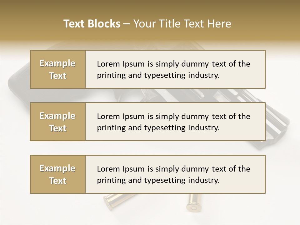 Ammunition Gun Control Home Protection PowerPoint Template