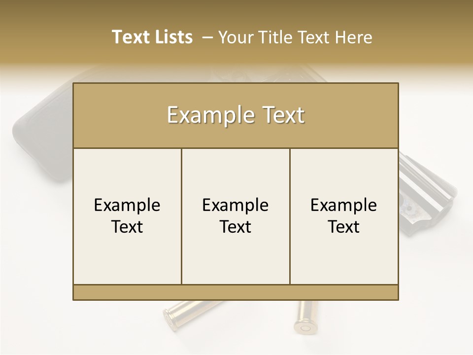 Ammunition Gun Control Home Protection PowerPoint Template
