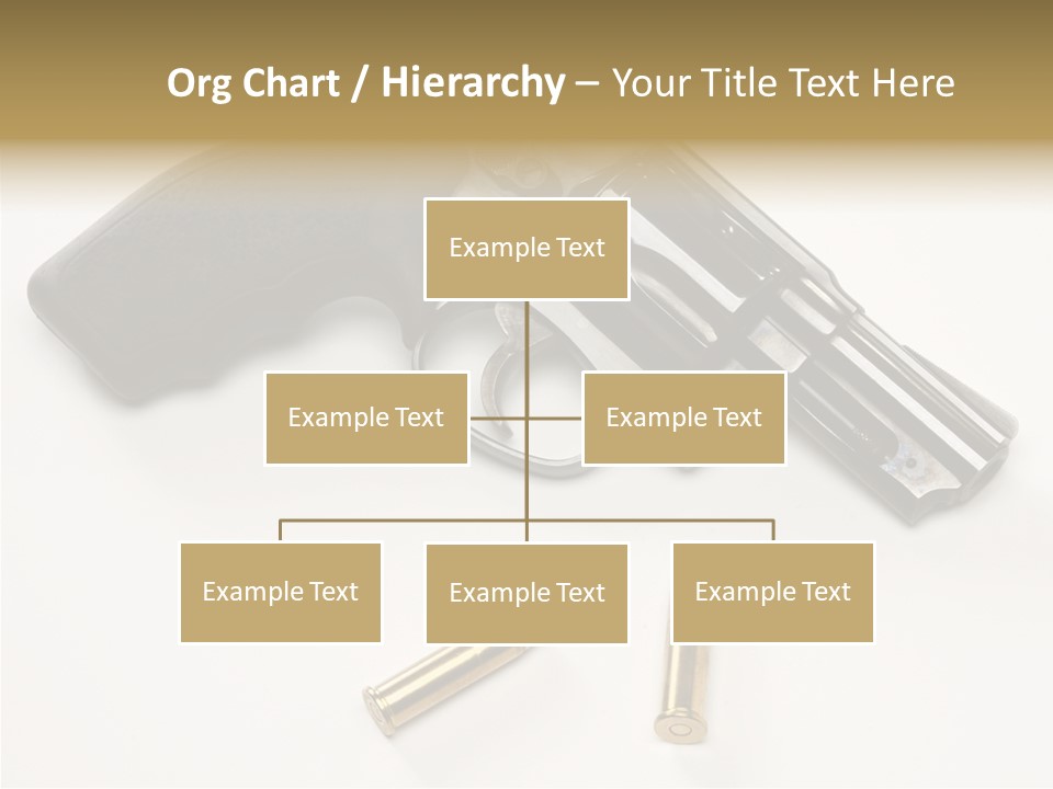 Ammunition Gun Control Home Protection PowerPoint Template