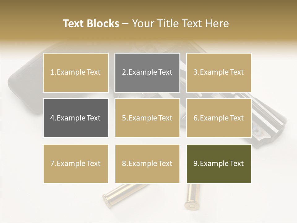 Ammunition Gun Control Home Protection PowerPoint Template