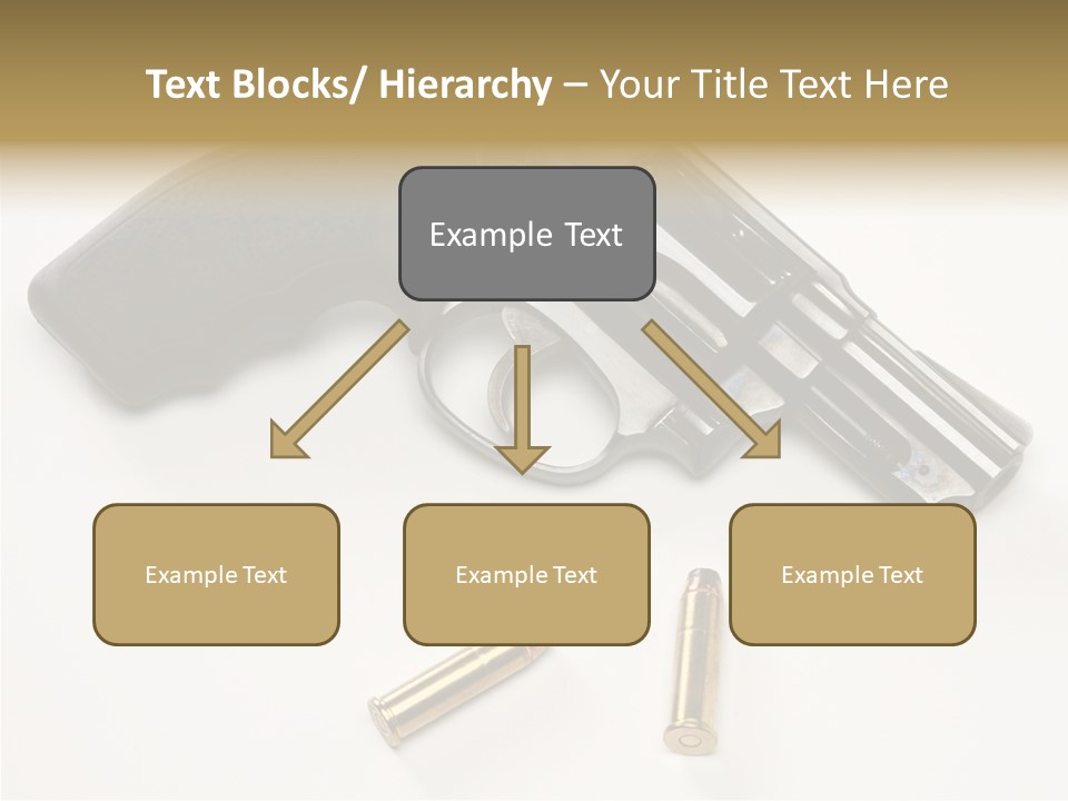 Ammunition Gun Control Home Protection PowerPoint Template