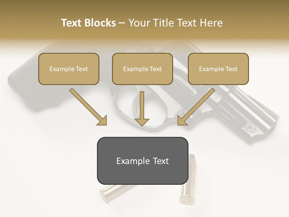 Ammunition Gun Control Home Protection PowerPoint Template
