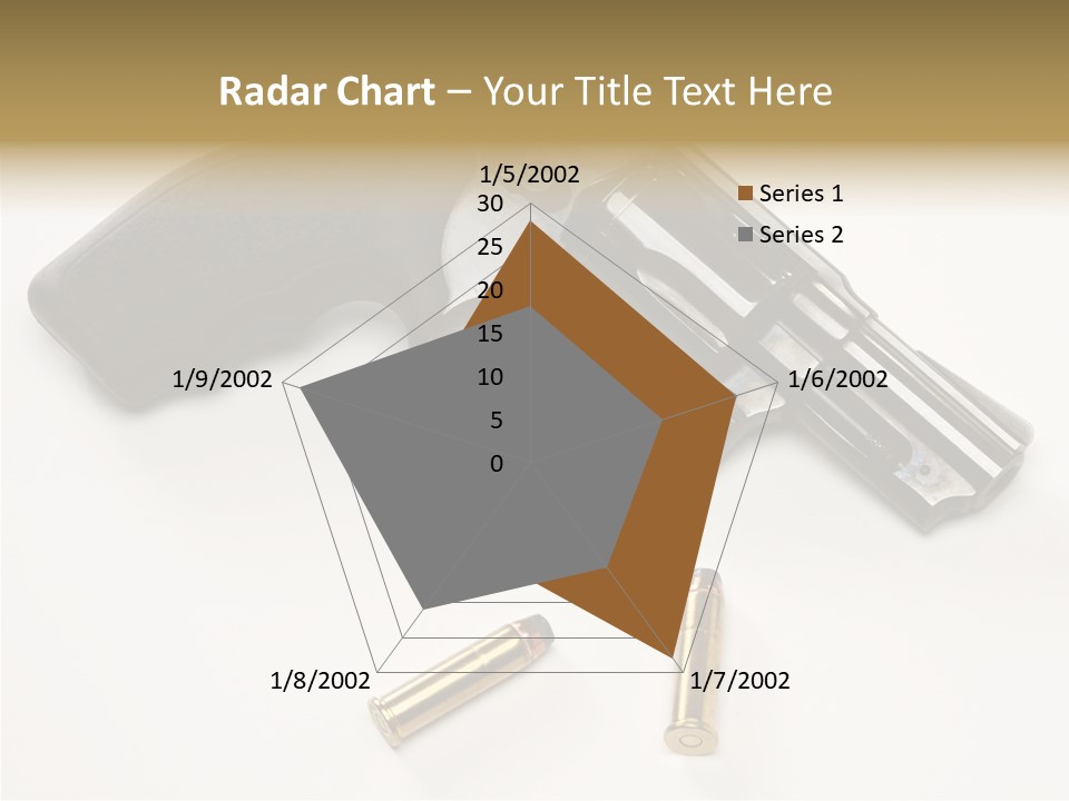 Ammunition Gun Control Home Protection PowerPoint Template