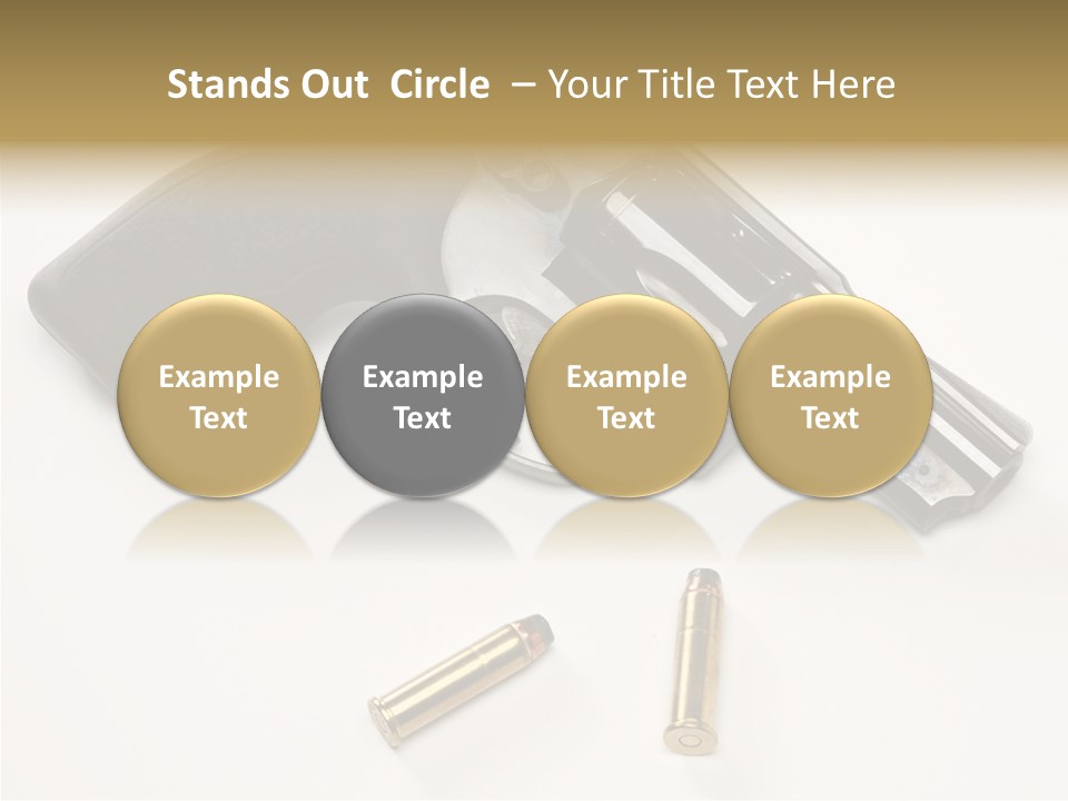 Ammunition Gun Control Home Protection PowerPoint Template