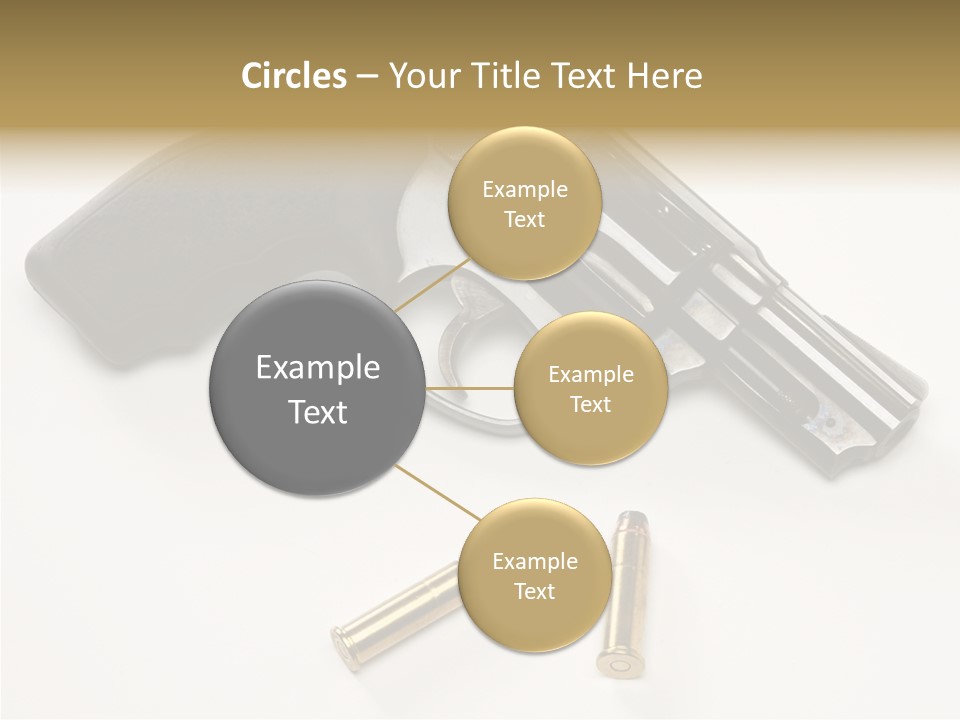 Ammunition Gun Control Home Protection PowerPoint Template
