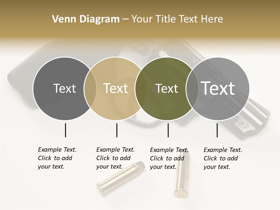 Ammunition Gun Control Home Protection PowerPoint Template