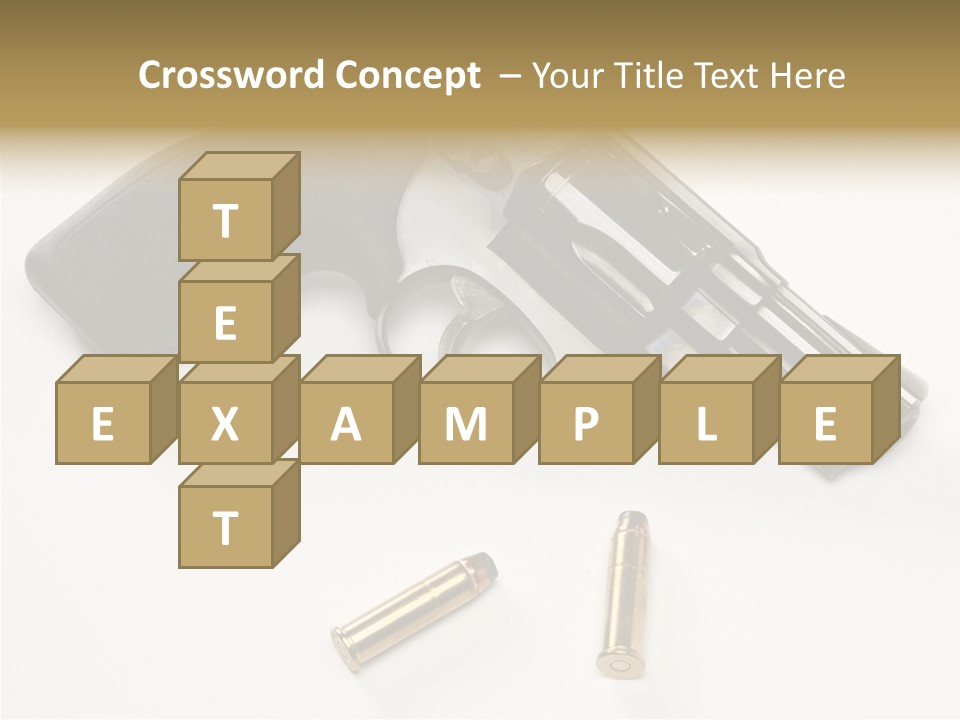 Ammunition Gun Control Home Protection PowerPoint Template