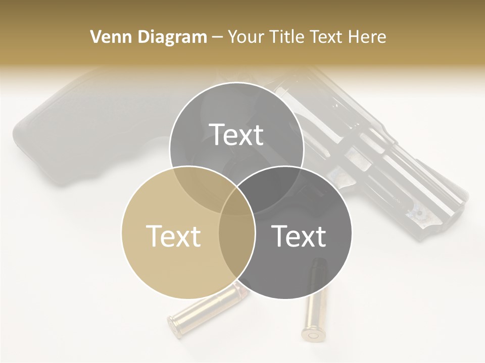 Ammunition Gun Control Home Protection PowerPoint Template