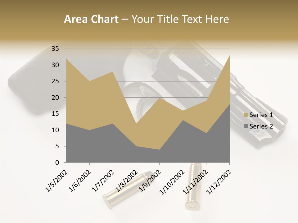 Ammunition Gun Control Home Protection PowerPoint Template