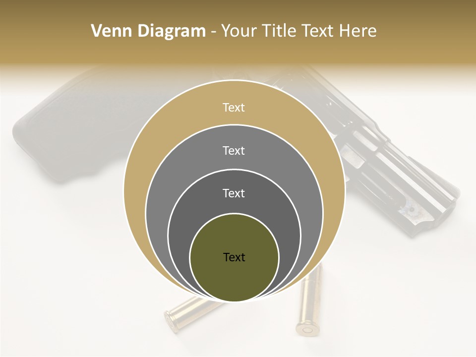 Ammunition Gun Control Home Protection PowerPoint Template