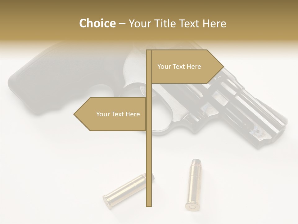 Ammunition Gun Control Home Protection PowerPoint Template