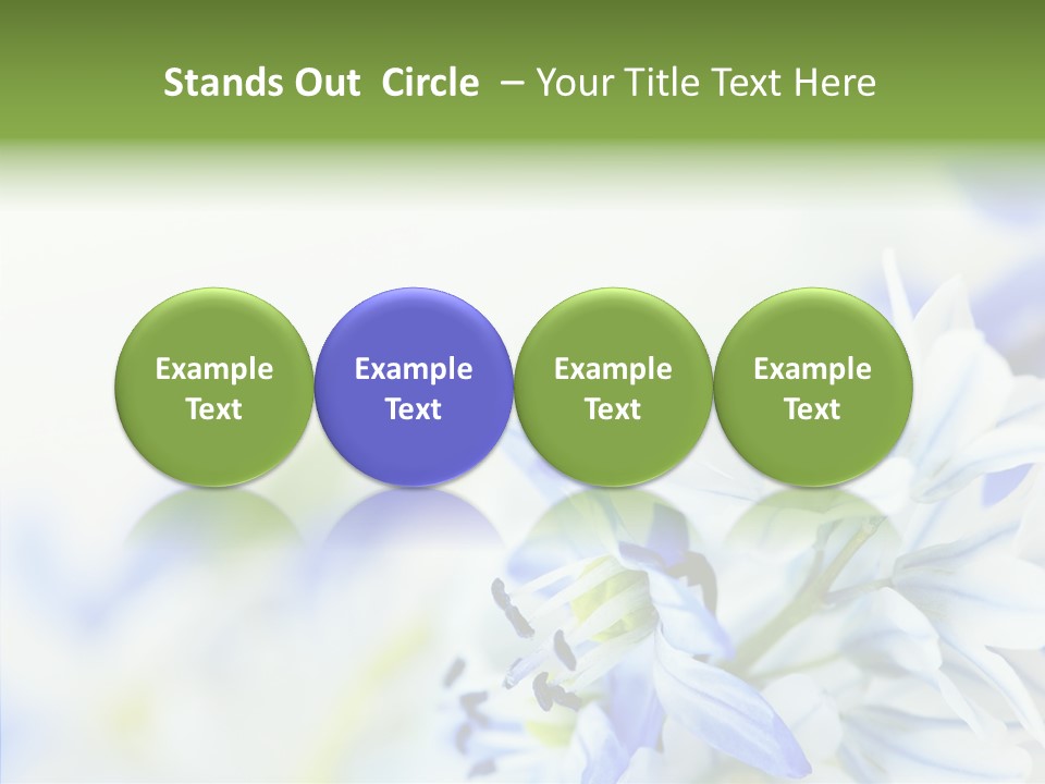 Closeup Springtime Freshness PowerPoint Template