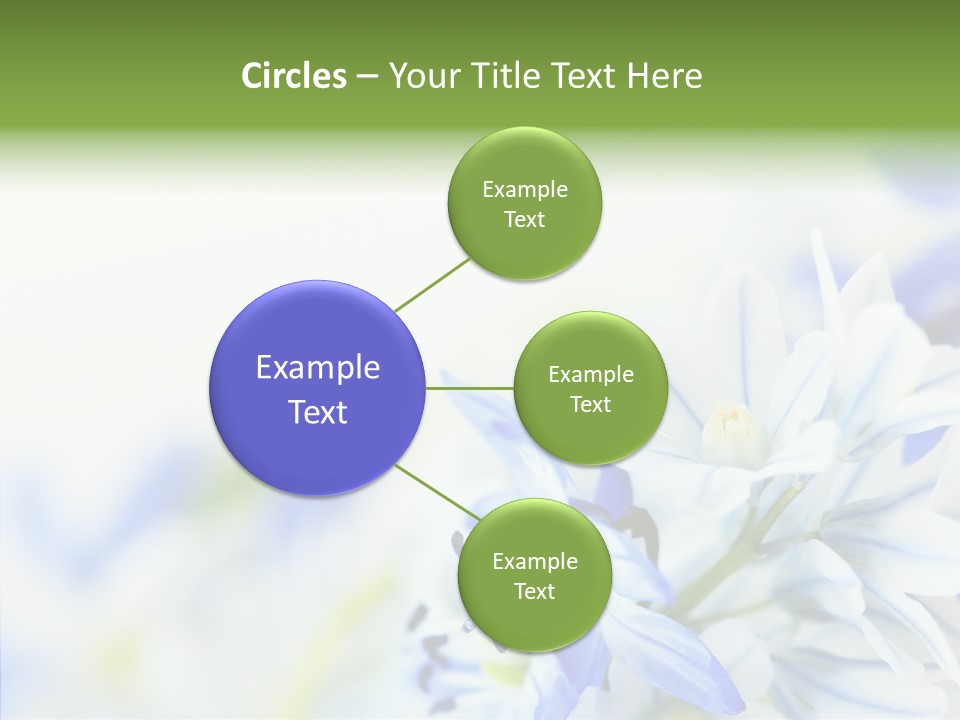 Closeup Springtime Freshness PowerPoint Template