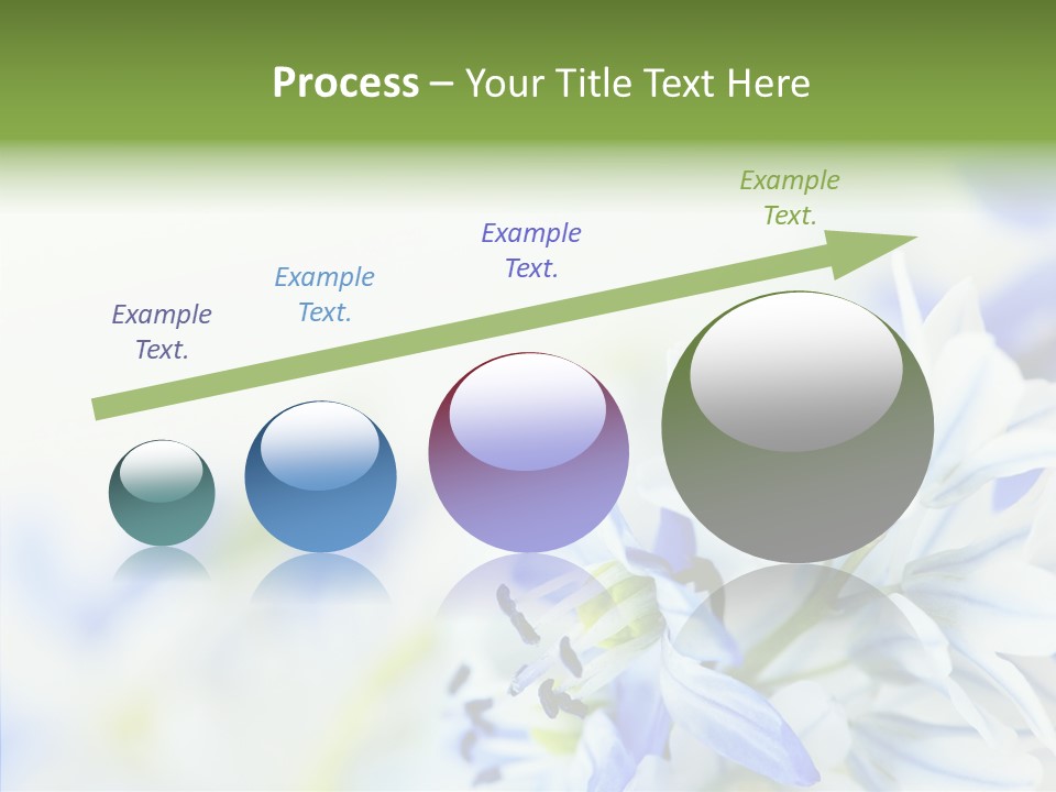 Closeup Springtime Freshness PowerPoint Template