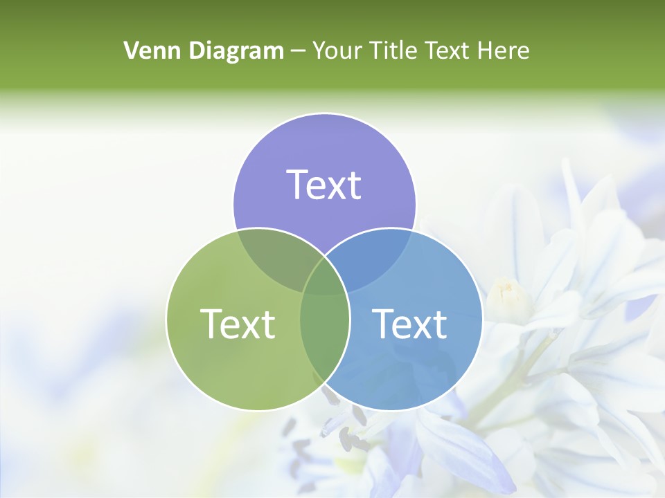 Closeup Springtime Freshness PowerPoint Template