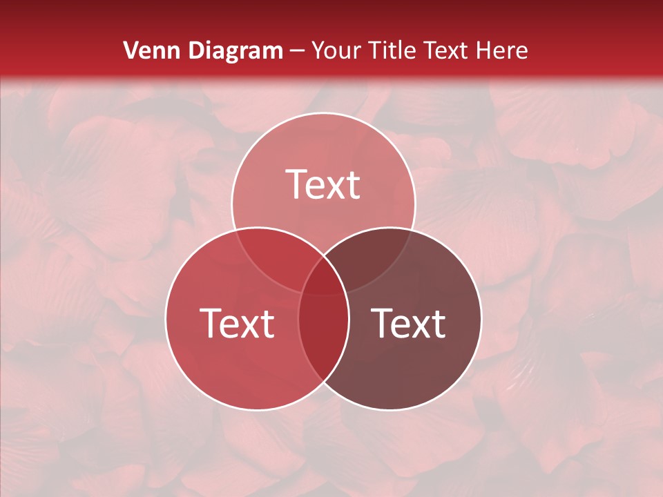 Valentines Celebration Backdrop PowerPoint Template