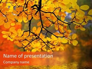 Colour Landscape Blaze PowerPoint Template