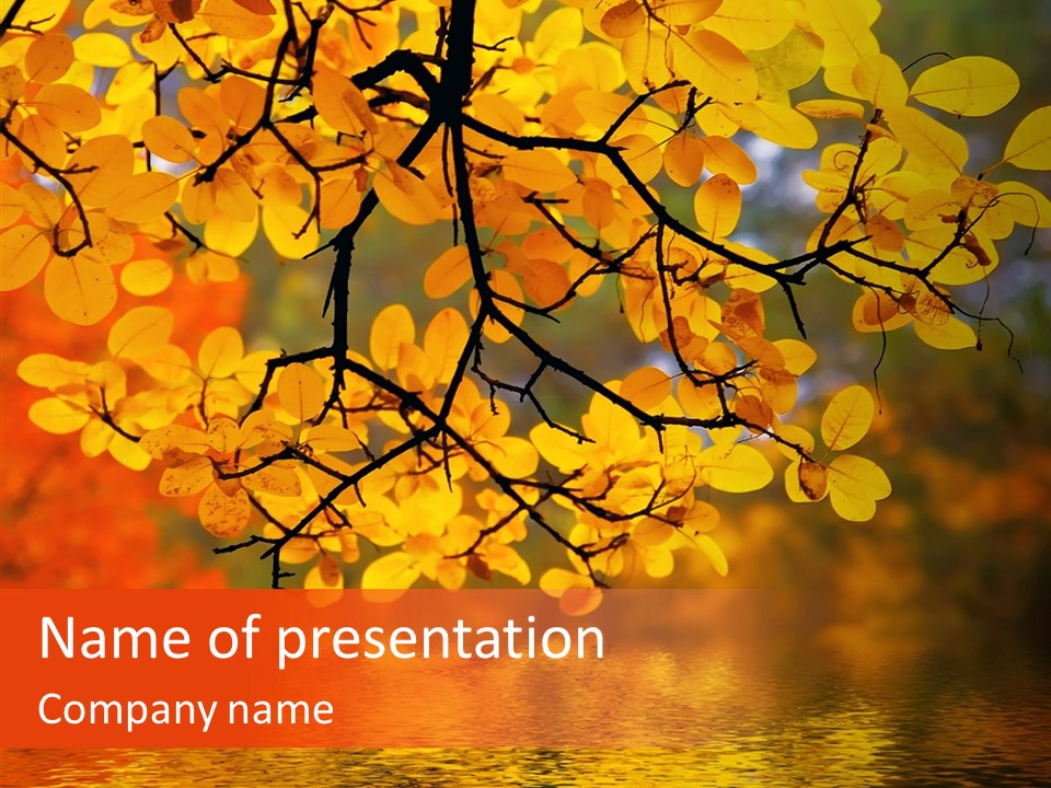 Colour Landscape Blaze PowerPoint Template