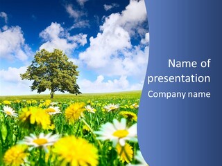 Flower Grass Blossom PowerPoint Template