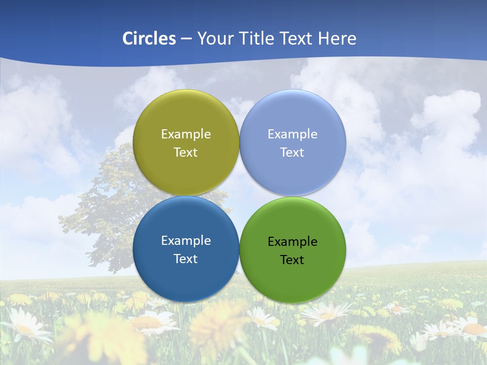 Flower Grass Blossom PowerPoint Template