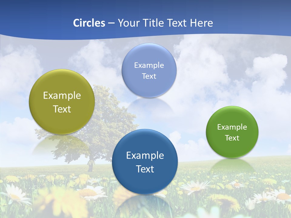 Flower Grass Blossom PowerPoint Template