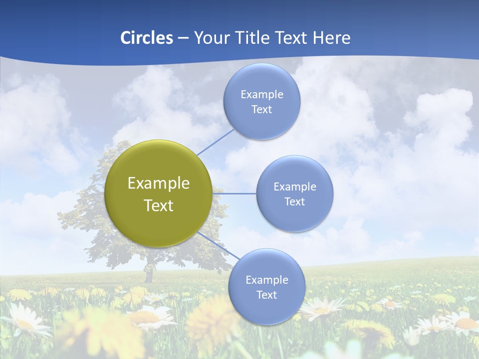 Flower Grass Blossom PowerPoint Template