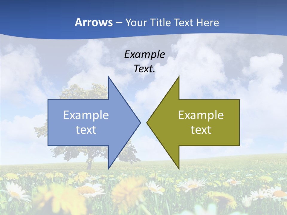 Flower Grass Blossom PowerPoint Template