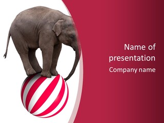 Silly Incongruity Performance PowerPoint Template