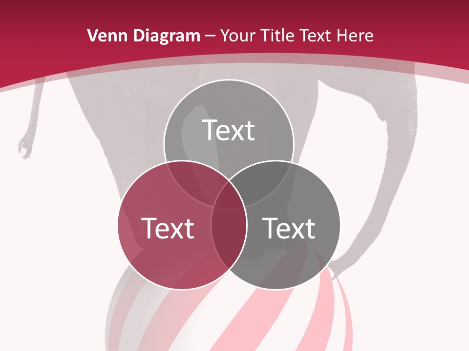 Silly Incongruity Performance PowerPoint Template