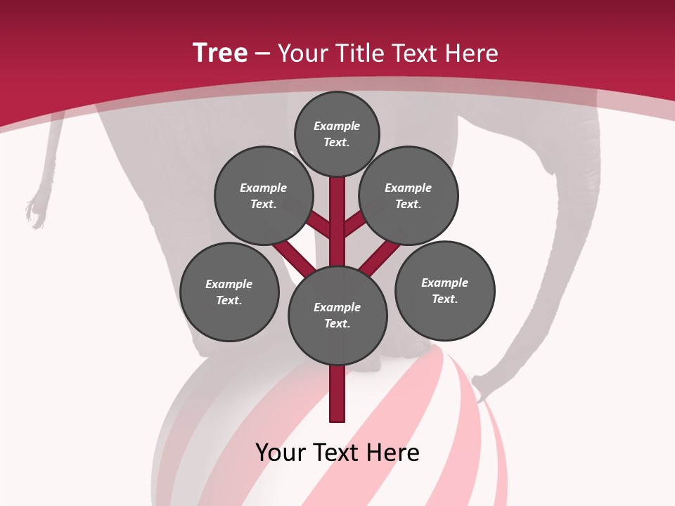 Silly Incongruity Performance PowerPoint Template