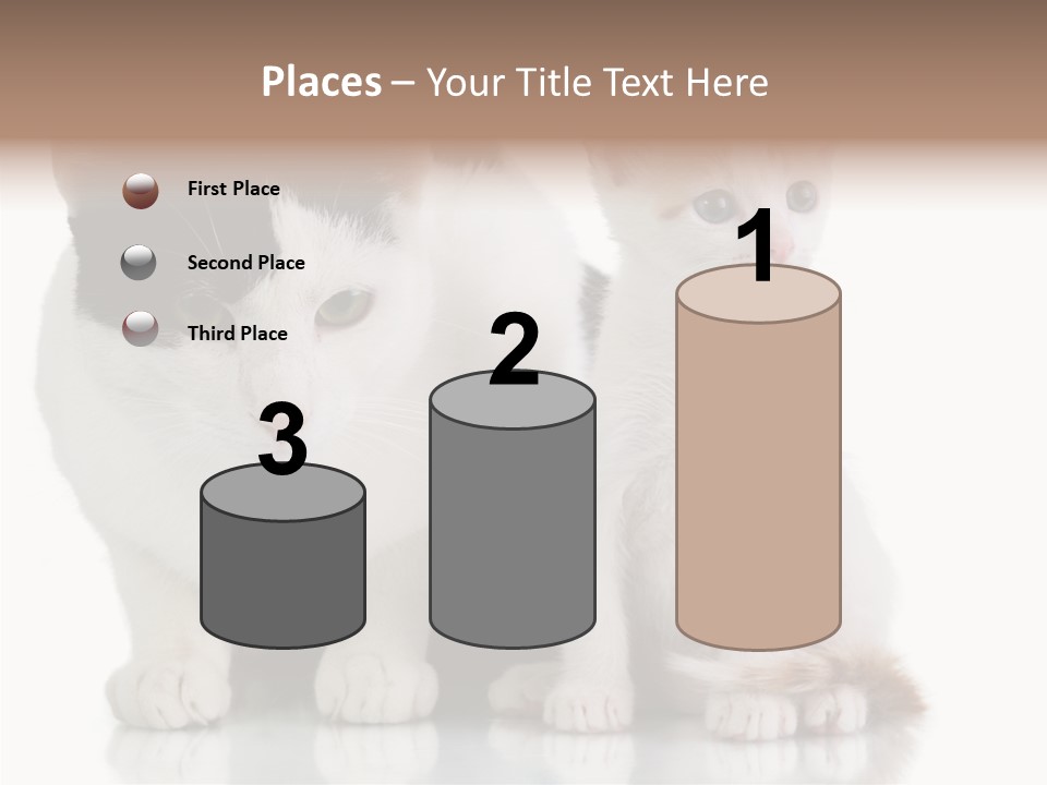 Boardroom People Humorou PowerPoint Template