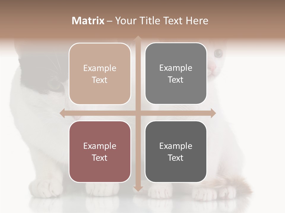 Boardroom People Humorou PowerPoint Template